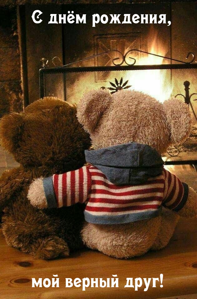 С днём рождения, мой верный друг!