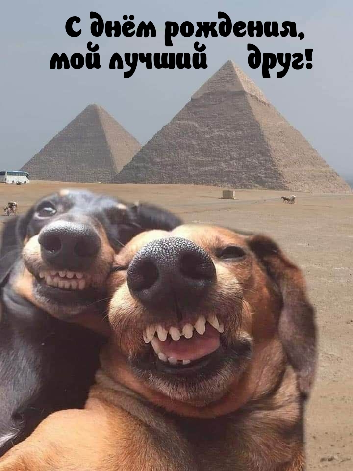 С днём рождения, мой лучший друг!