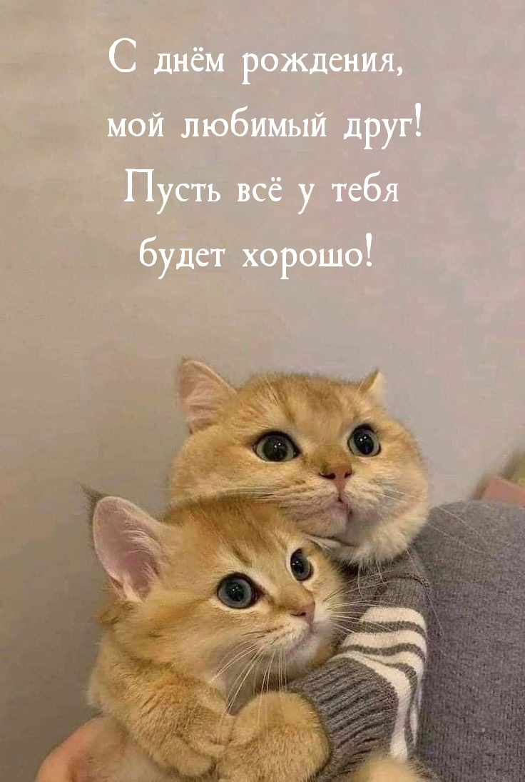 С днём рождения, мой любимый друг! Пусть всё у тебя будет хорошо!