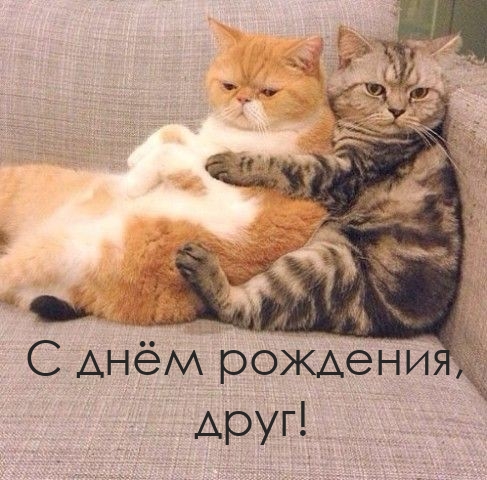 С днём рождения, друг!