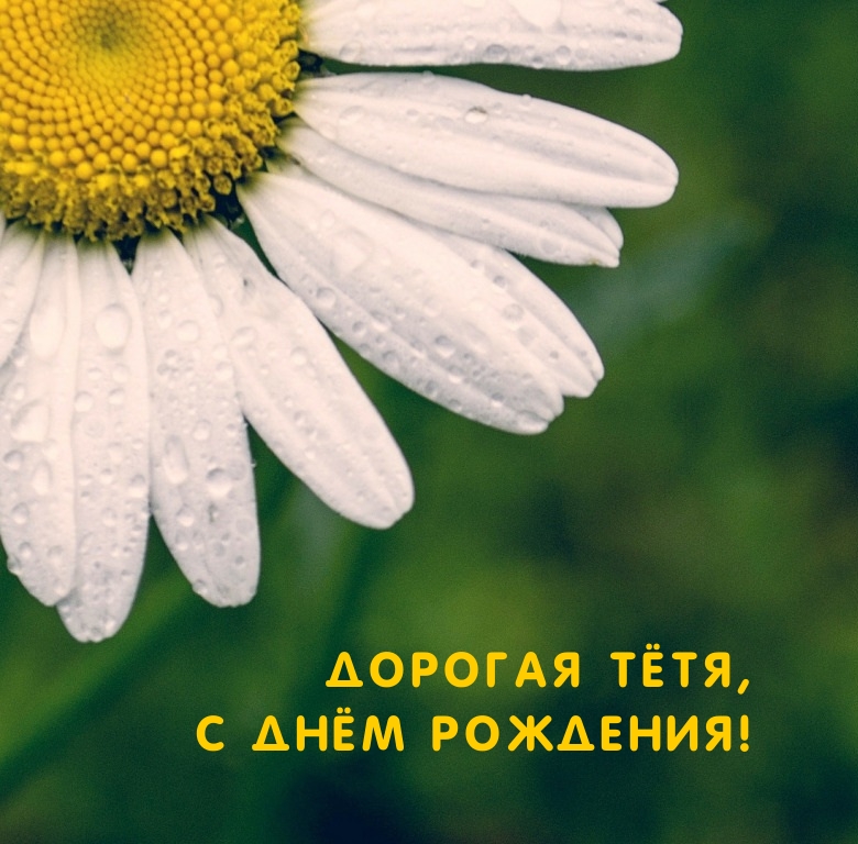 Дорогая тётя, с днём рождения!