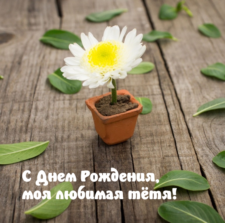 С Днем Рождения, моя любимая тётя!
