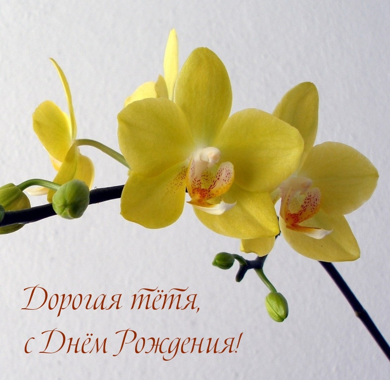 Дорогая тётя, с Днём Рождения!