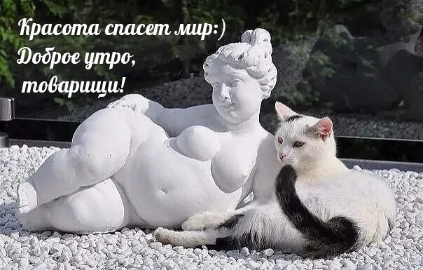 Красота спасет мир:) Доброе утро, товарищи!