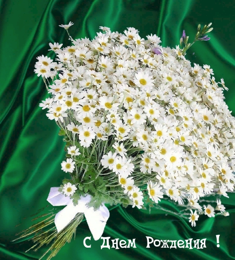Ромашечного дня рождения.
