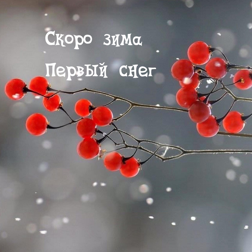 Скоро зима Первый снег