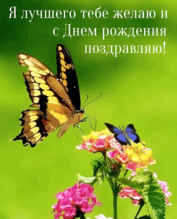 Я лучшего желаю и с Днем рождения поздравляю!