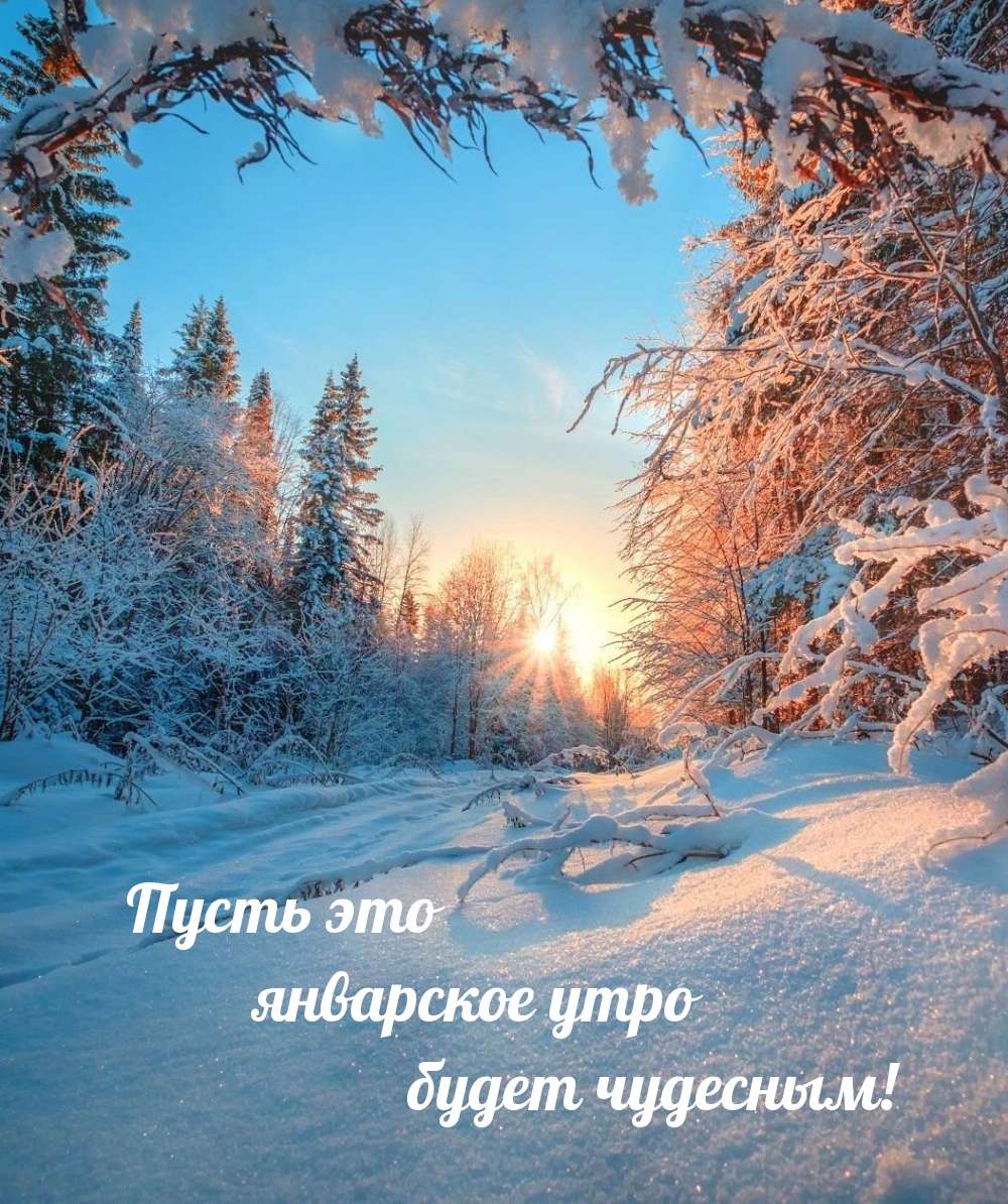 Пусть это январское утро будет чудесным!