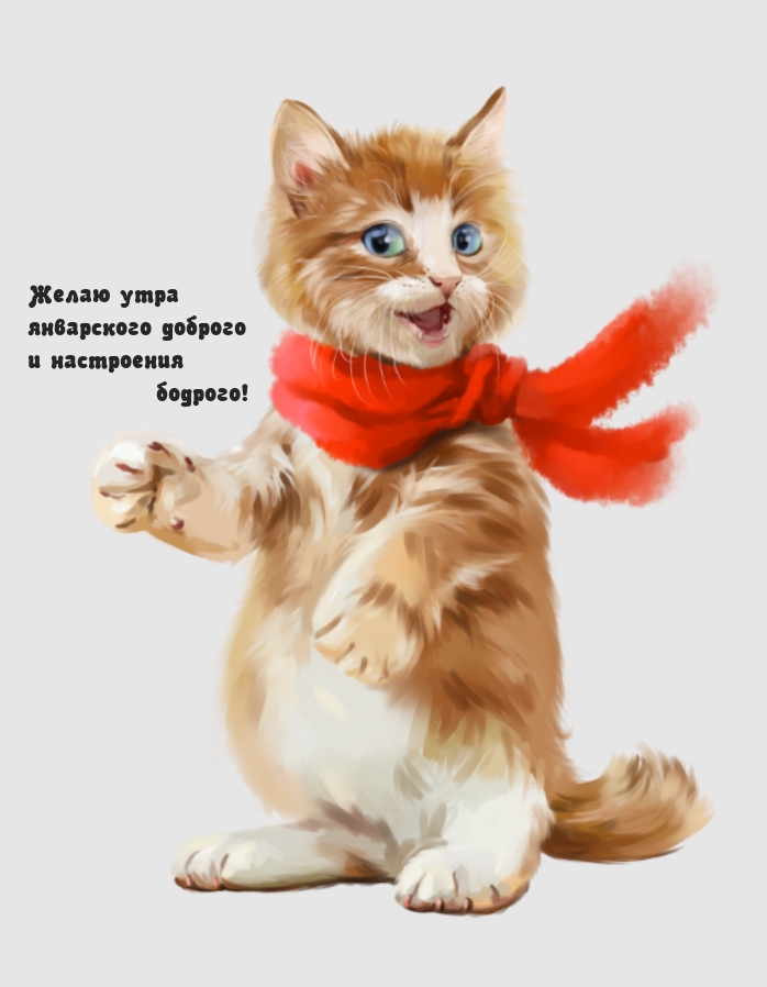 Желаю утра январского доброго и настроения бодрого!