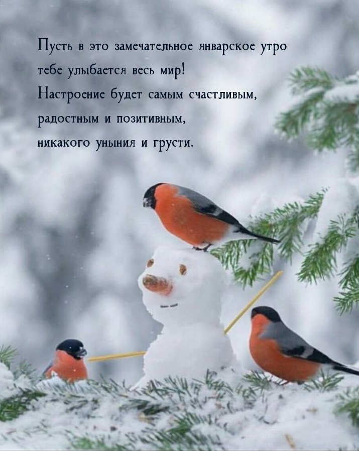 Пусть в это замечательное январское утро тебе улыбается весь мир!