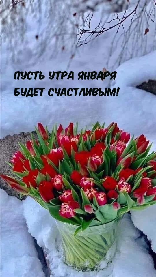 Пусть утра января Будет счастливым!