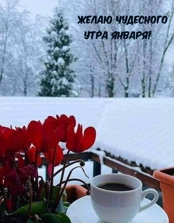Желаю чудесного утра января!