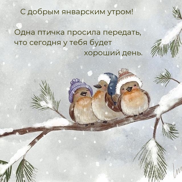 С добрым январским утром! Одна птичка просила передать