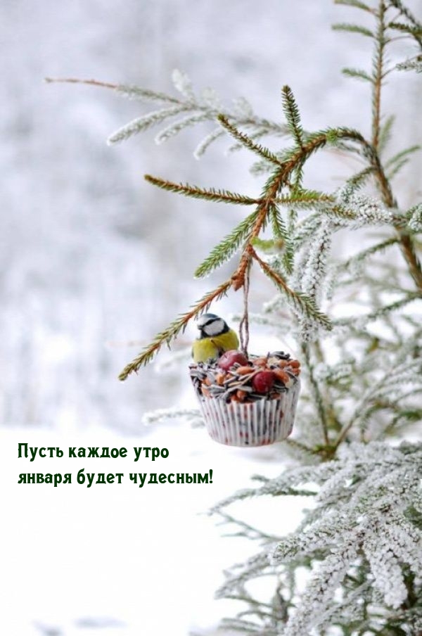 Пусть каждое утро января будет чудесным!