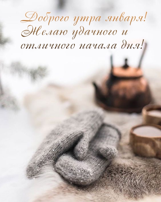 Доброго утра января! Желаю удачного и отличного начала дня!