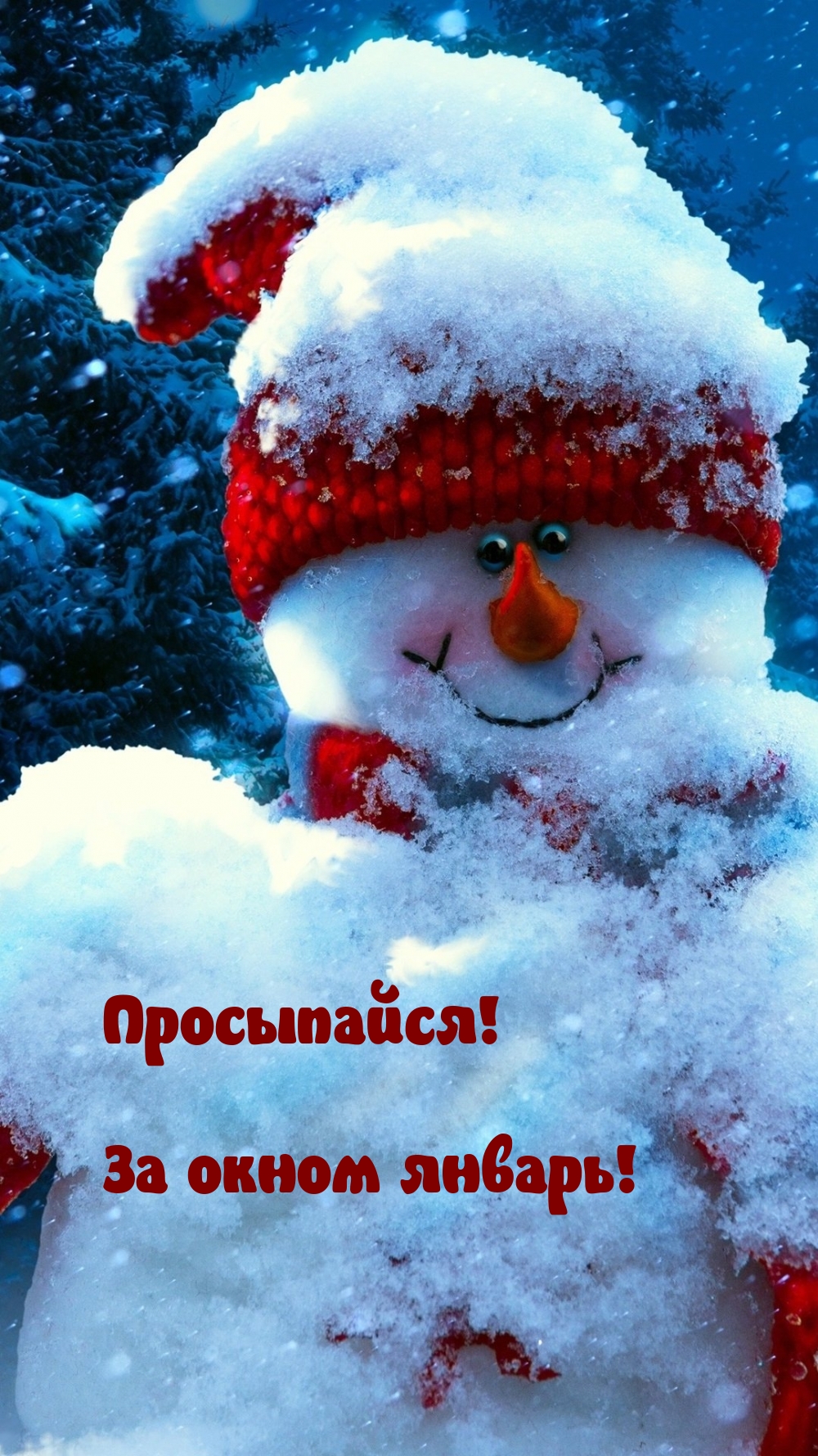 Просыпайся! За окном январь!