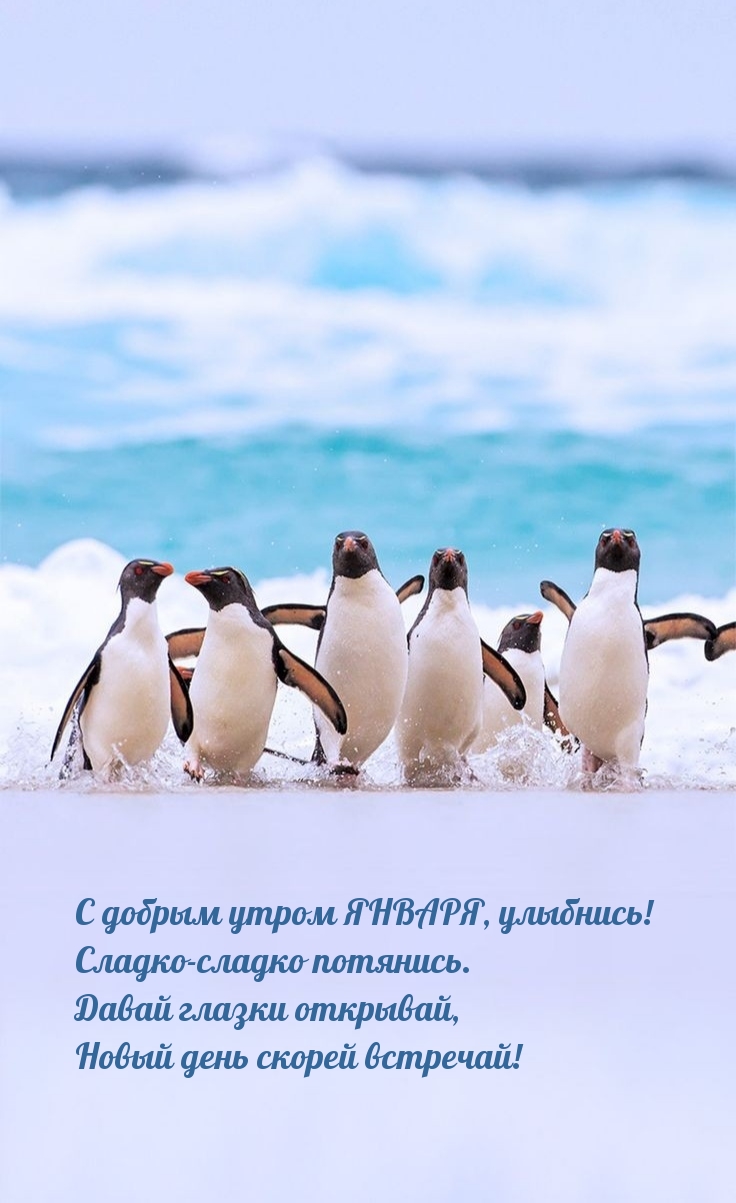 С добрым утром ЯНВАРЯ, улыбнись! Сладко-сладко потянись.