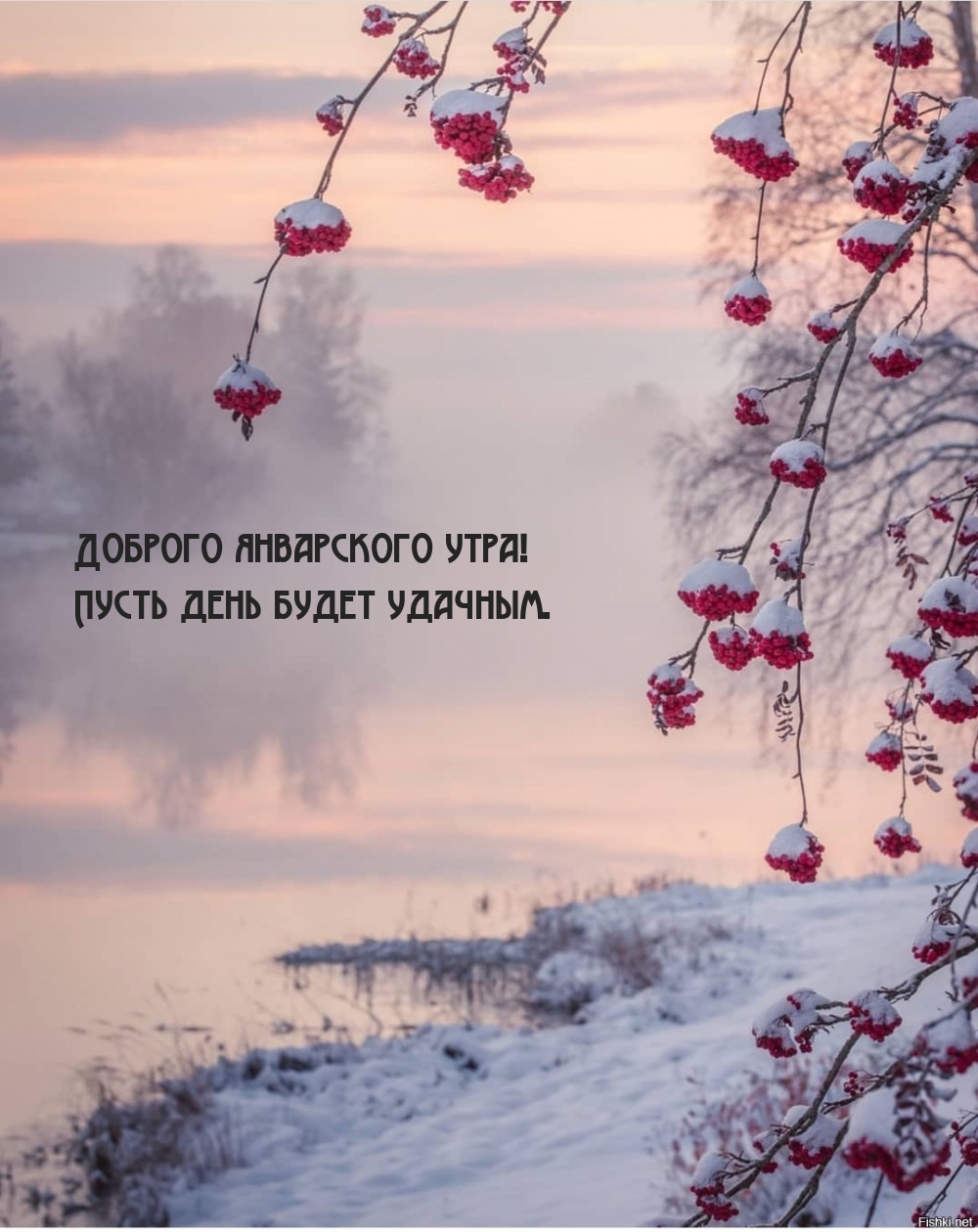 Доброго январского утра! Пусть день будет удачным.