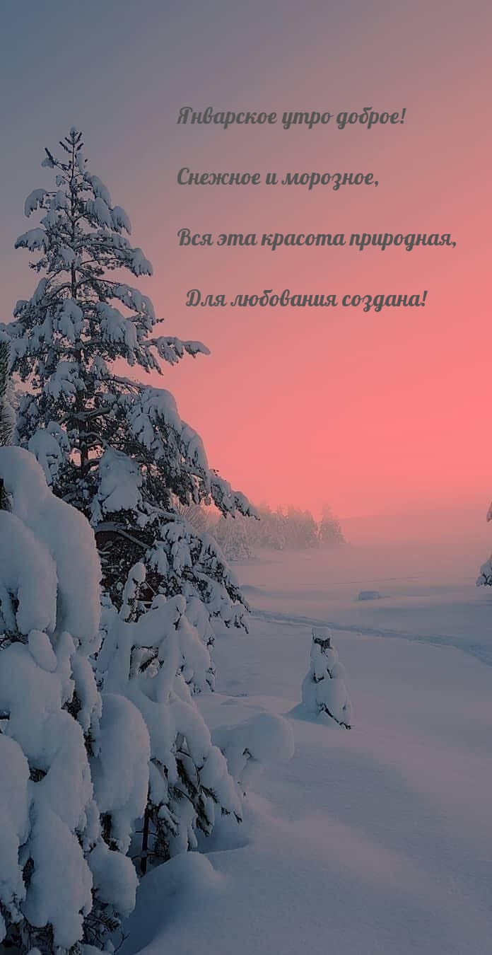Январское утро доброе! Снежное и морозное