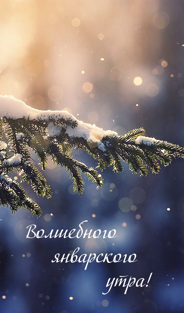 Волшебного январского утра!