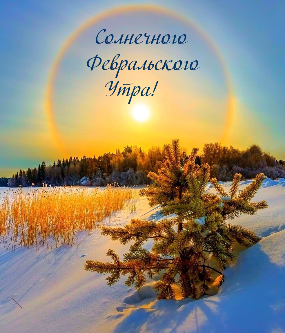 Солнечного февральского утра!