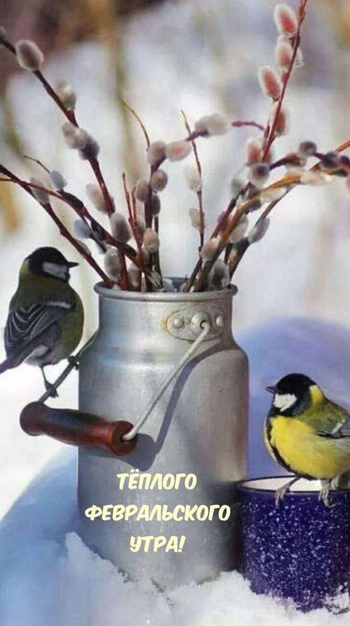 Тёплого февральского утра!