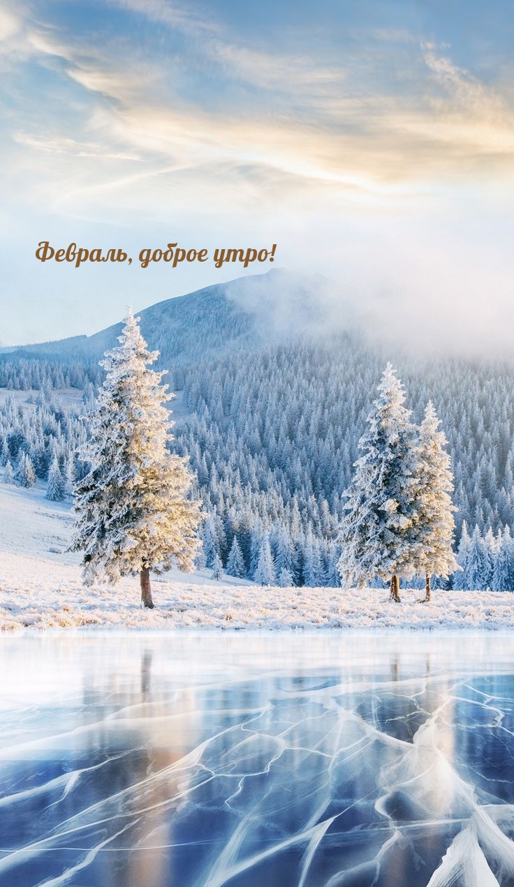 Февраль, доброе утро!