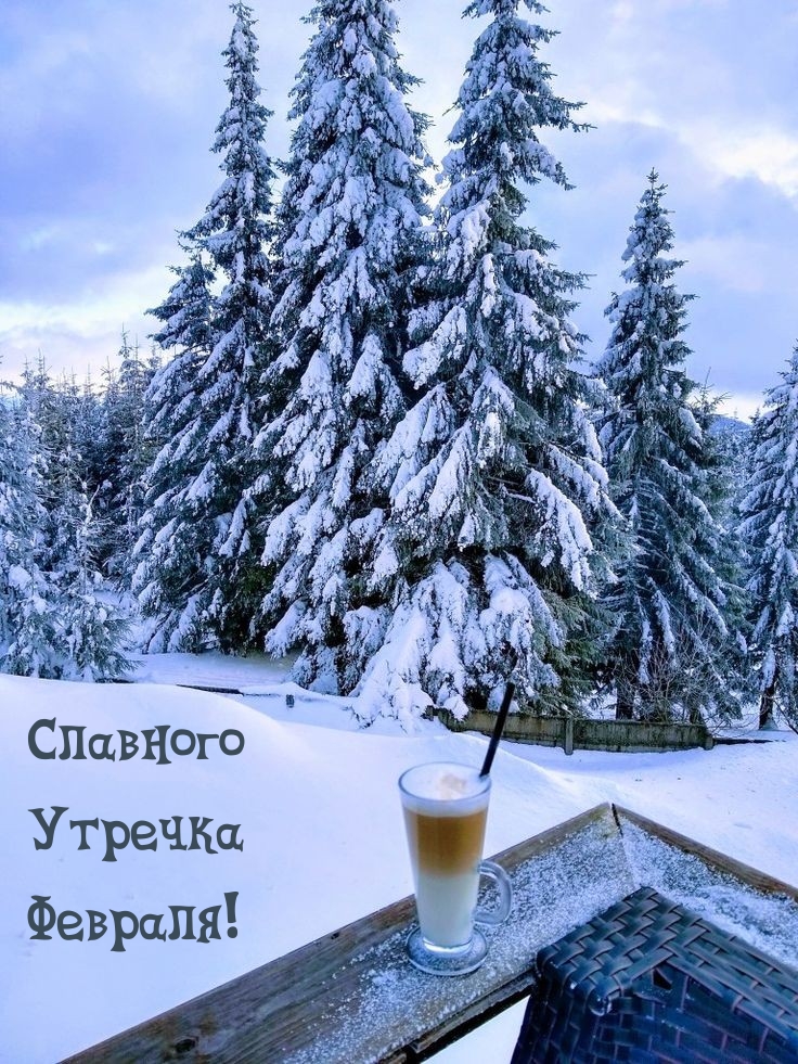Славного утречка февраля!