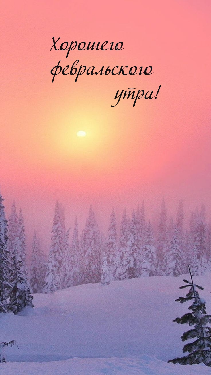 Хорошего февральского утра!