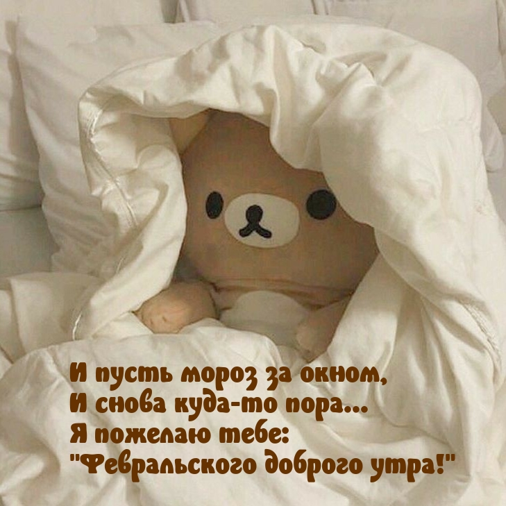 Я пожелаю тебе: «Февральского доброго утра!»