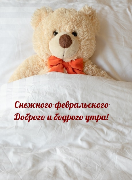 Снежного февральского доброго и бодрого утра!