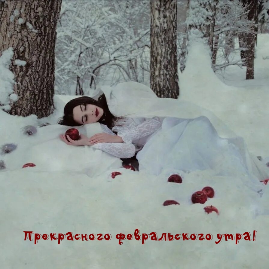 Прекрасного февральского утра!