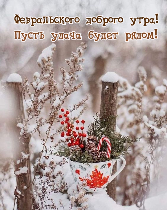 Февральского доброго утра! Пусть удача будет рядом!