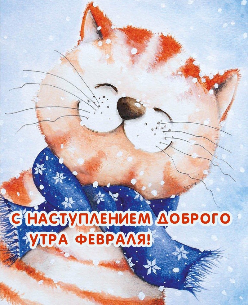 С наступлением доброго утра февраля!