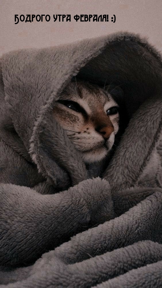 Бодрого утра февраля! :)