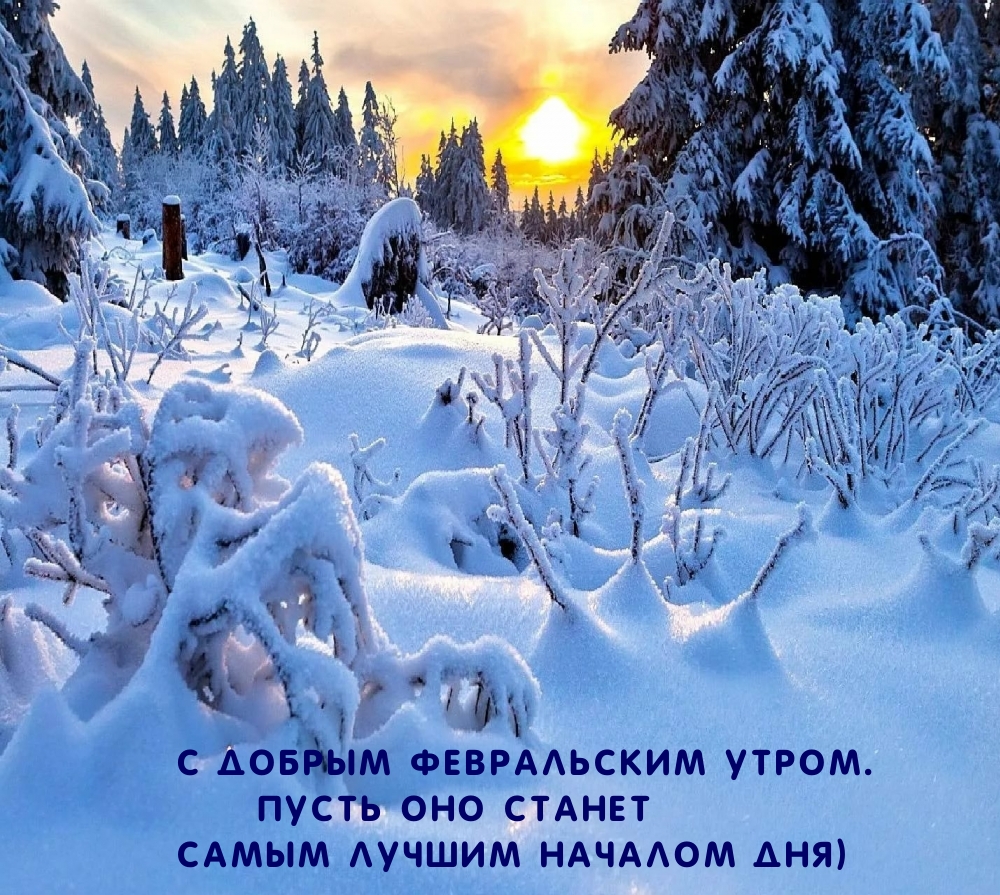 С добрым февральским утром.
