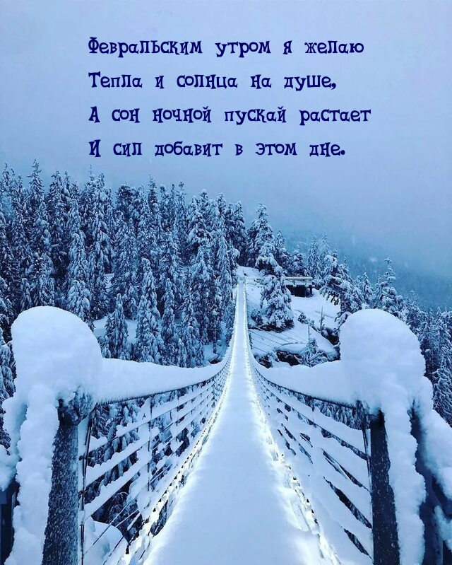 Февральским утром я желаю Тепла и солнца на душе.