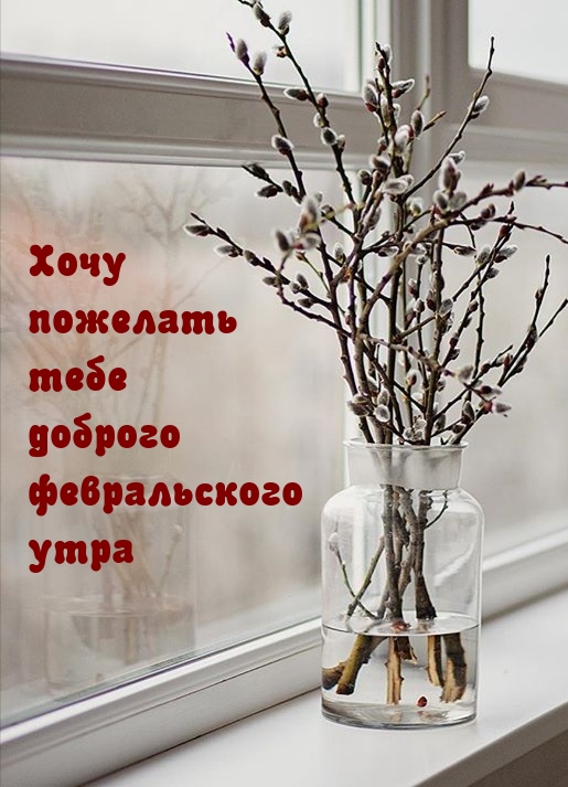 Хочу пожелать тебе доброго февральского утра