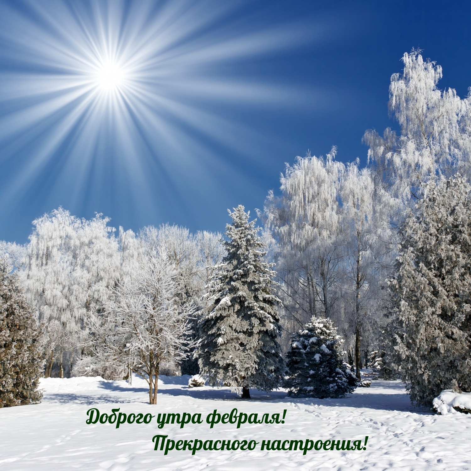 Доброго утра февраля! Прекрасного настроения!
