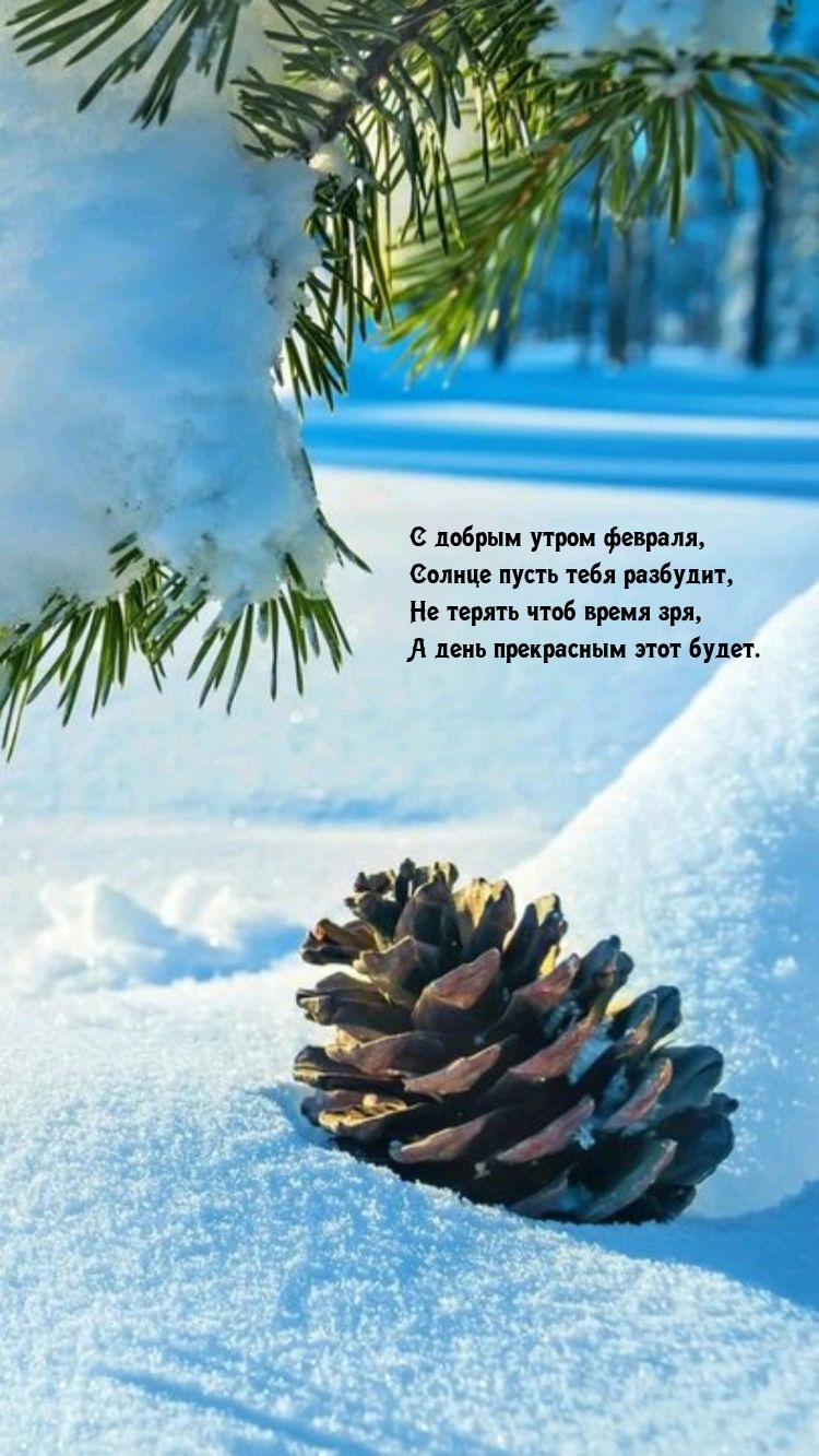 С добрым утром февраля, солнце пусть тебя разбудит.