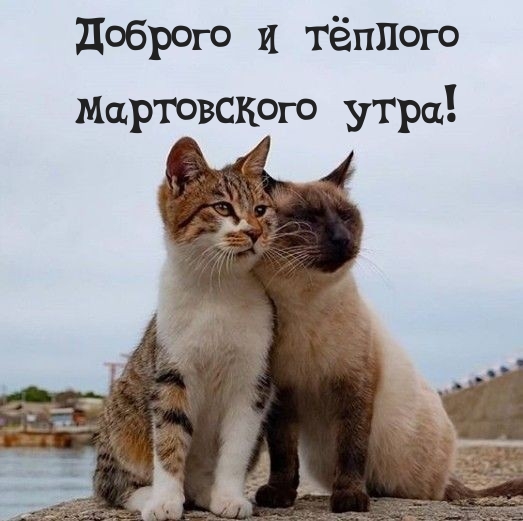 Доброго и тёплого мартовского утра!