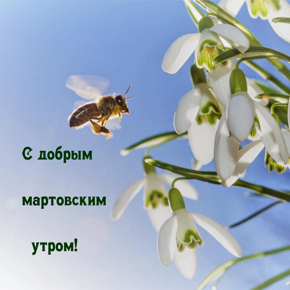 С добрым мартовским утром!