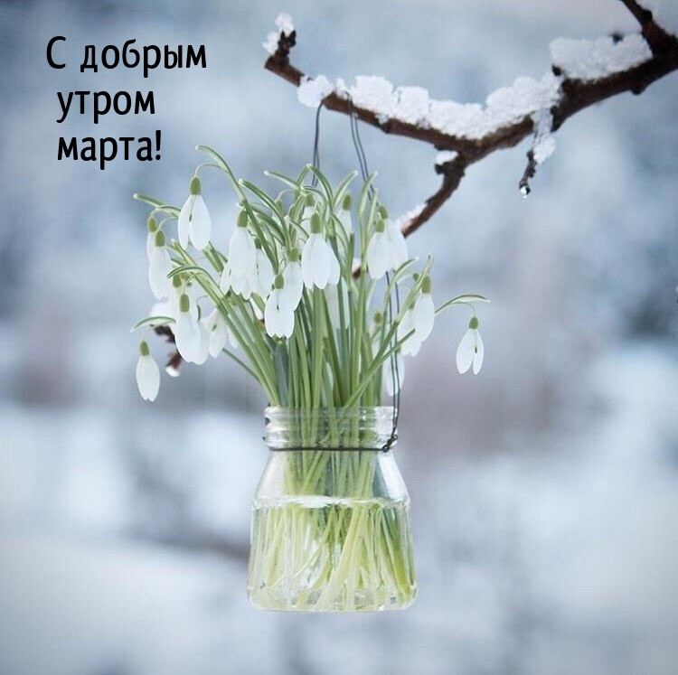 С добрым утром марта!