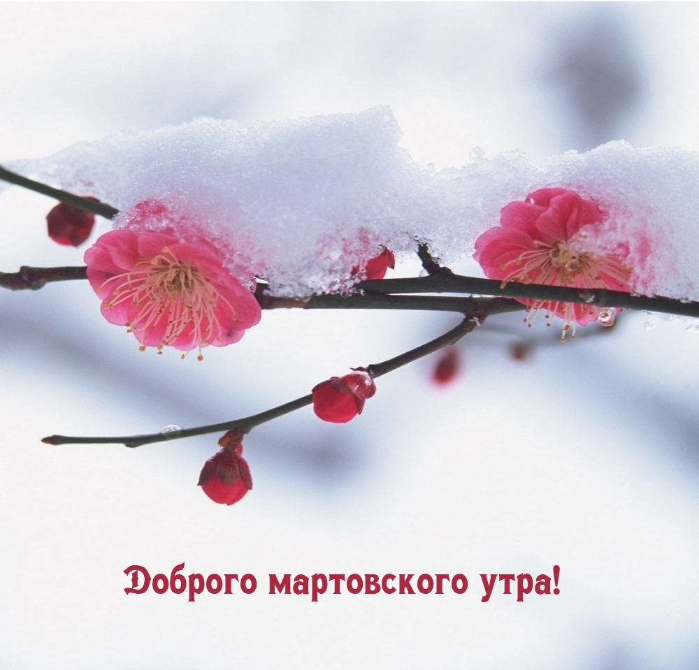 Доброго мартовского утра!