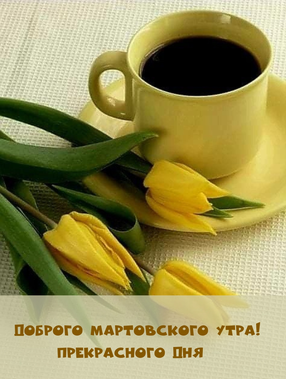 Доброго мартовского утра! Прекрасного дня