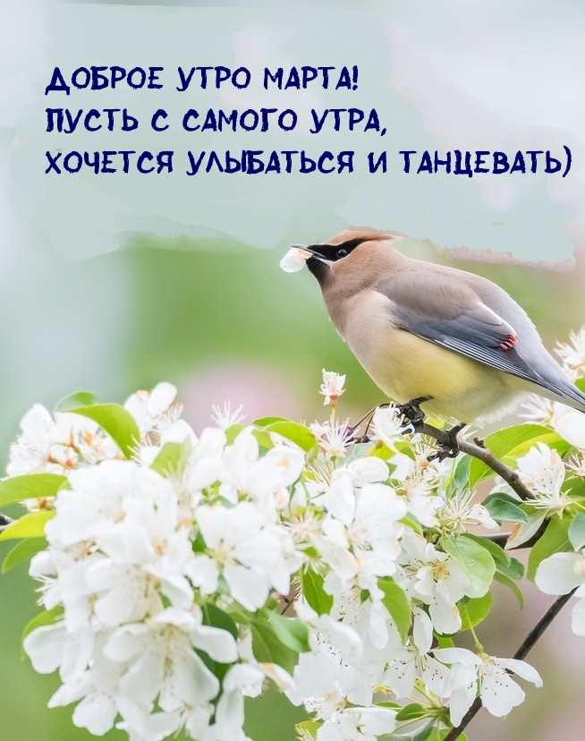 Доброе утро марта! Пусть с самого утра, хочется улыбаться