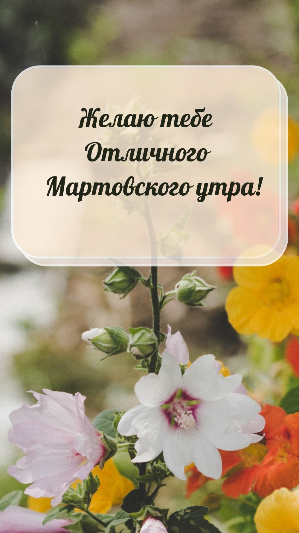 Желаю тебе Отличного Мартовского утра!