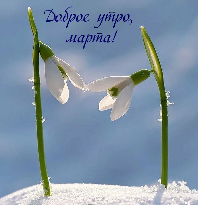Доброе утро, марта!