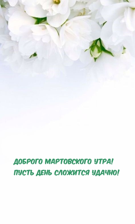 Доброго мартовского утра! Пусть день сложится удачно!