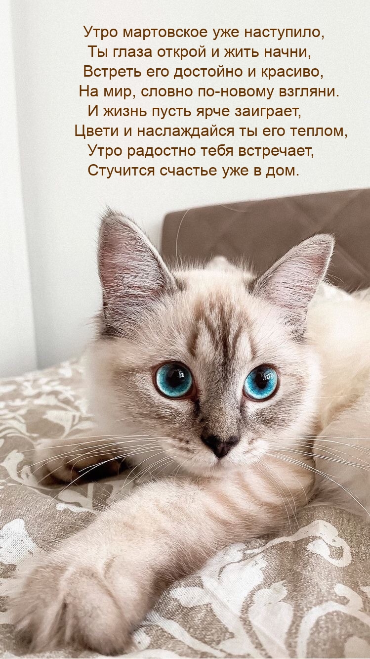 Утро мартовское уже наступило, Ты глаза открой и жить начни